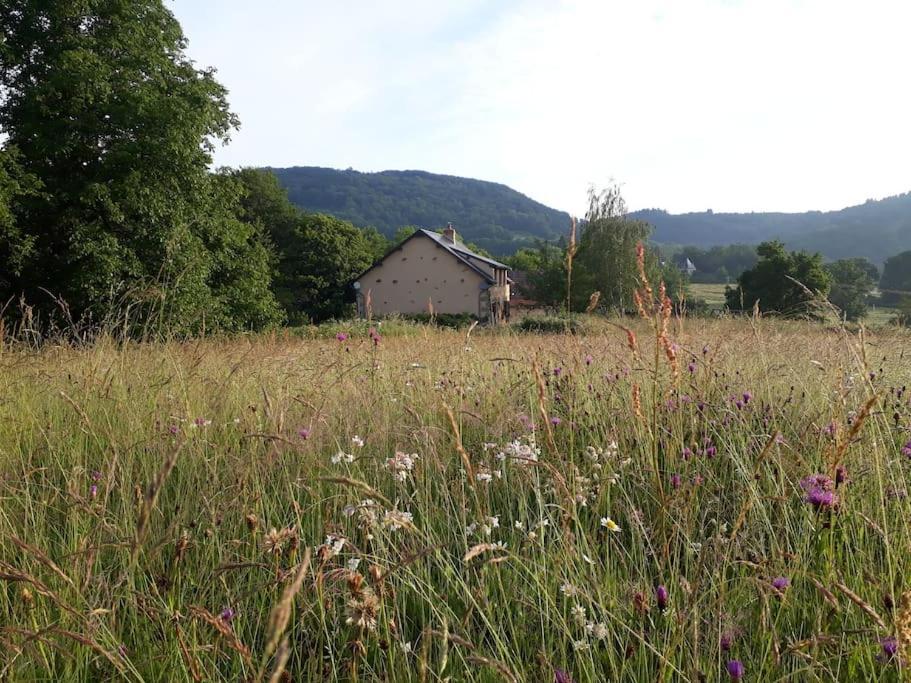 Le Studio Du Crot Noir Cussy-en-Morvan Экстерьер фото